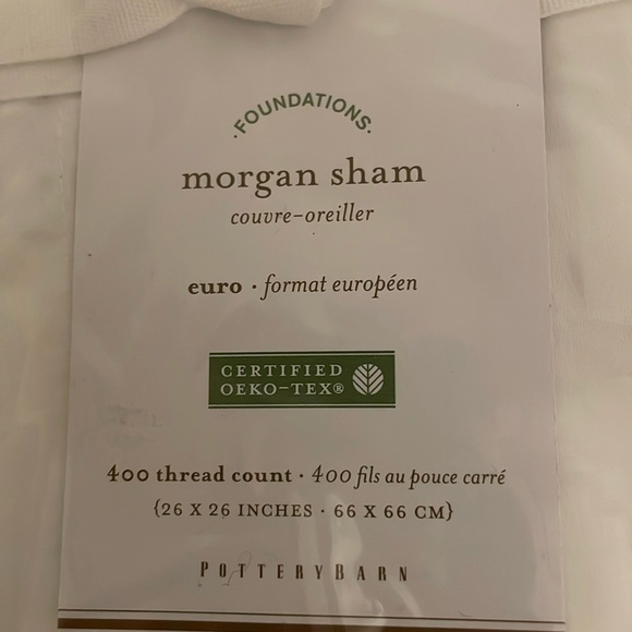 Pottery Barn Euro Shams (2)